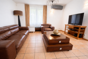 Gepflegtes Wohnzimmer mit Ledermöbel (mit Tageslicht)